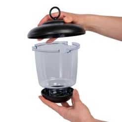 Little Lantern Seed Feeder -Ark Wildlife Shop little lantern seed feeder open