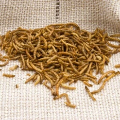 Dried Mealworms -Ark Wildlife Shop mealworms sack