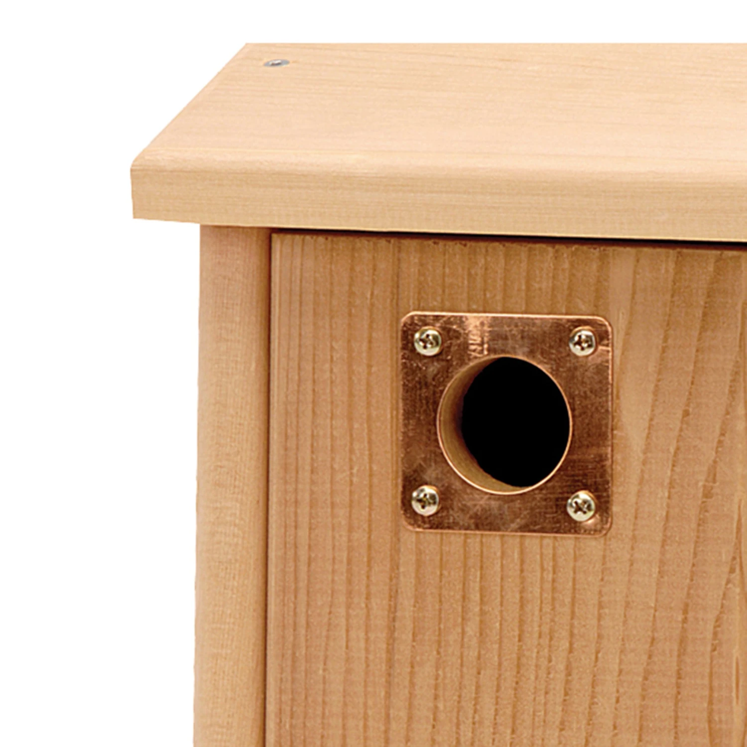 Nest Box Hole Protection Plate 2 Nest Box Hole Protection Plate - Image 2