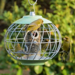 Nuttery Helix Seed Feeder