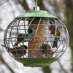 Nuttery Helix Seed Feeder -Ark Wildlife Shop nuttery helix feeder