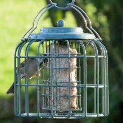 Nuttery Oval Fat Ball / Suet Feast Feeder -Ark Wildlife Shop nuttery oval fatball feeder
