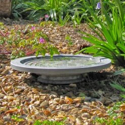 Oasis Bird Bath & Water Drinker