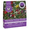 Bee Friends™ Rainbow Seed Bombs