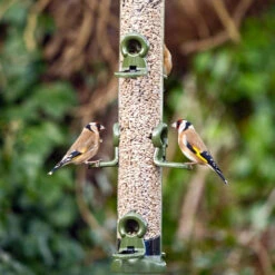 Ring-Pull™ Click Seed Feeder -Ark Wildlife Shop rpc goldfinches