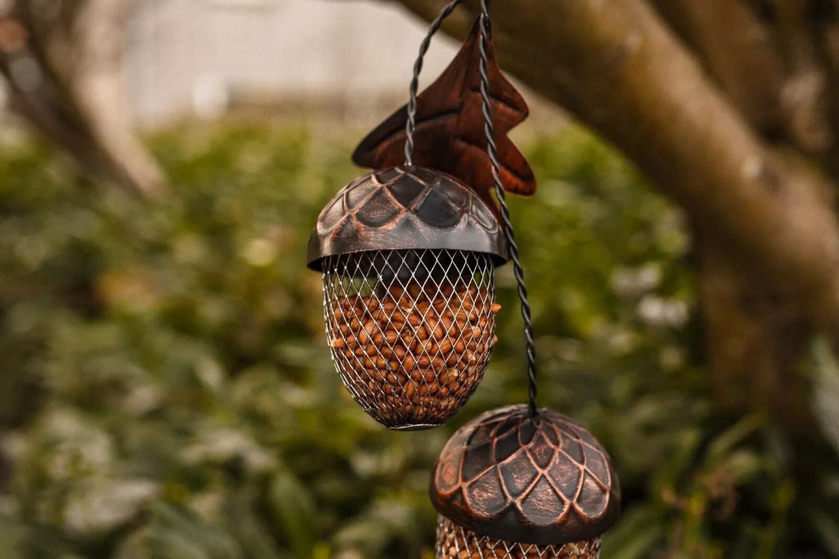 Ark Wildlife Shop -Ark Wildlife Shop s l1200