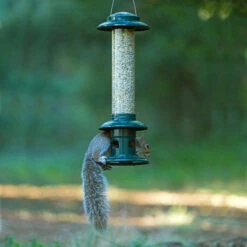 Squirrel Buster Evolution Seed Feeder -Ark Wildlife Shop squirrel buster evolution seed feeder
