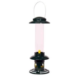 Squirrel Buster Evolution Seed Feeder