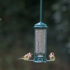 Squirrel Buster Mini Seed Feeder 5 Squirrel Buster Mini Seed Feeder -Ark Wildlife Shop squirrel buster mini 2