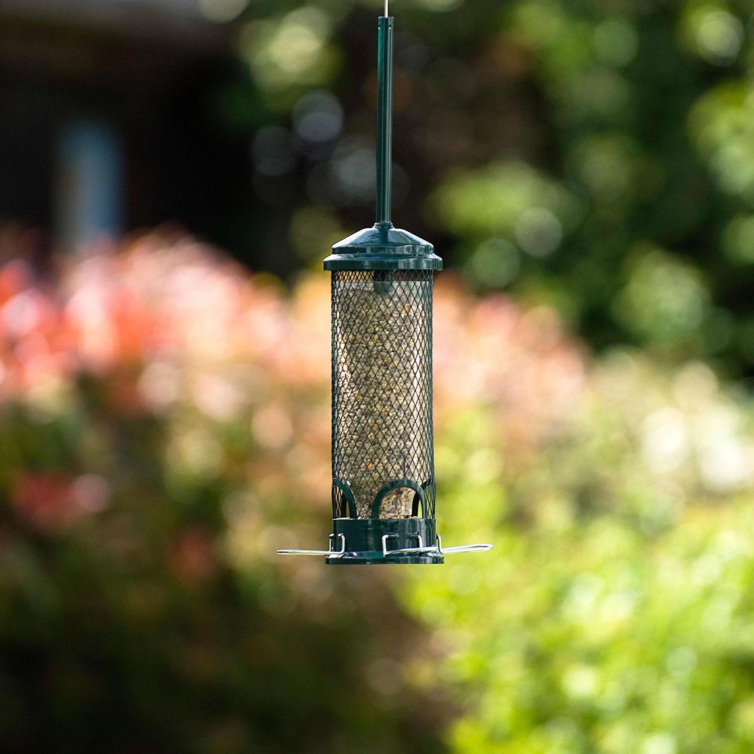 Squirrel Buster Mini Seed Feeder 2 Squirrel Buster Mini Seed Feeder - Image 2
