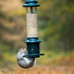 Squirrel Buster Plus Seed Feeder 7 Squirrel Buster Plus Seed Feeder -Ark Wildlife Shop squirrel buster plus 2