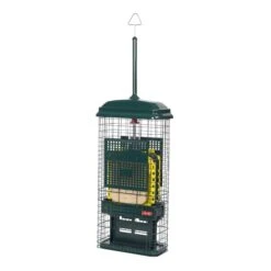 Squirrel Buster Suet Feeder