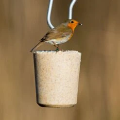 See The Difference™ Mixed Suet Tub Cakes 800g 5 See The Difference™ Mixed Suet Tub Cakes 800g -Ark Wildlife Shop sudc robin suet 1