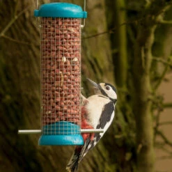 Classic Peanut Kernels -Ark Wildlife Shop woodpecker peanuts